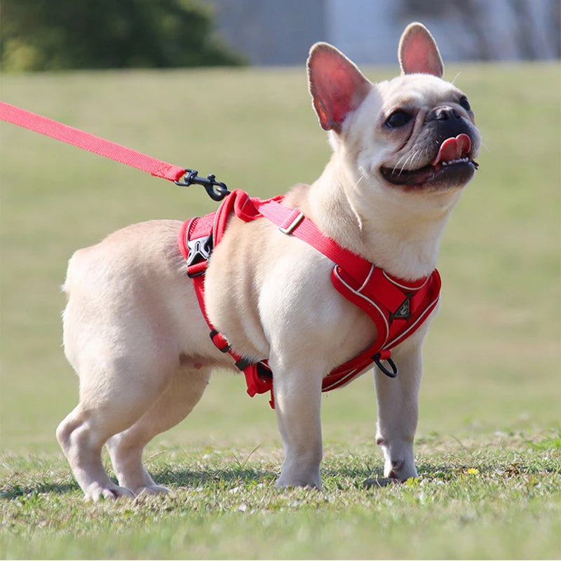 Conjunto de coleira para cães, cinta peitoral ajustável para cães pequenos e médios, colete refletivo para filhotes de cachorro, buldogue francês york