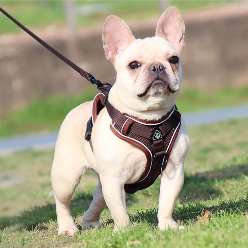 Conjunto de coleira para cães, cinta peitoral ajustável para cães pequenos e médios, colete refletivo para filhotes de cachorro, buldogue francês york