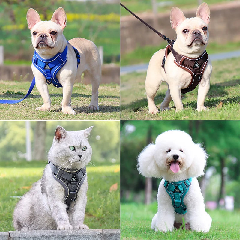 Conjunto de coleira para cães, cinta peitoral ajustável para cães pequenos e médios, colete refletivo para filhotes de cachorro, buldogue francês york