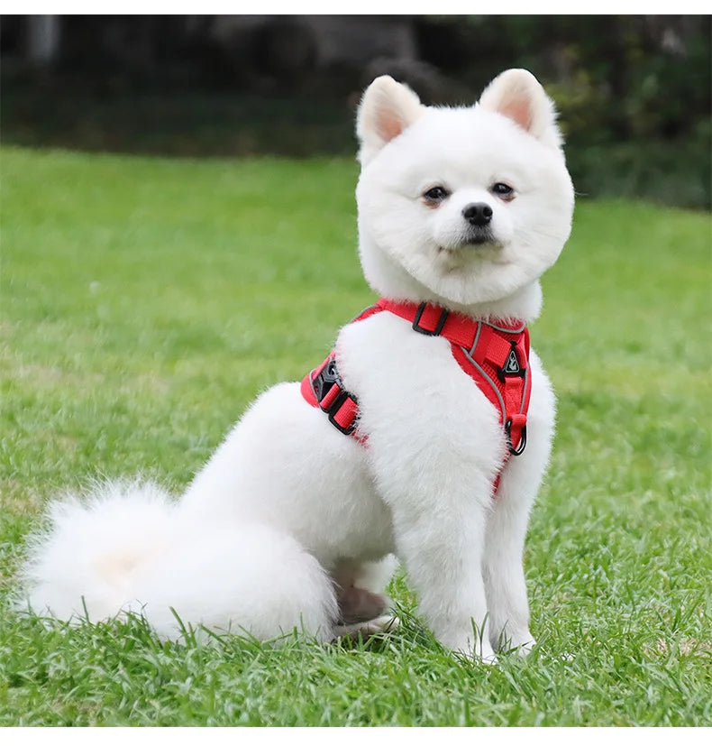 Conjunto de coleira para cães, cinta peitoral ajustável para cães pequenos e médios, colete refletivo para filhotes de cachorro, buldogue francês york