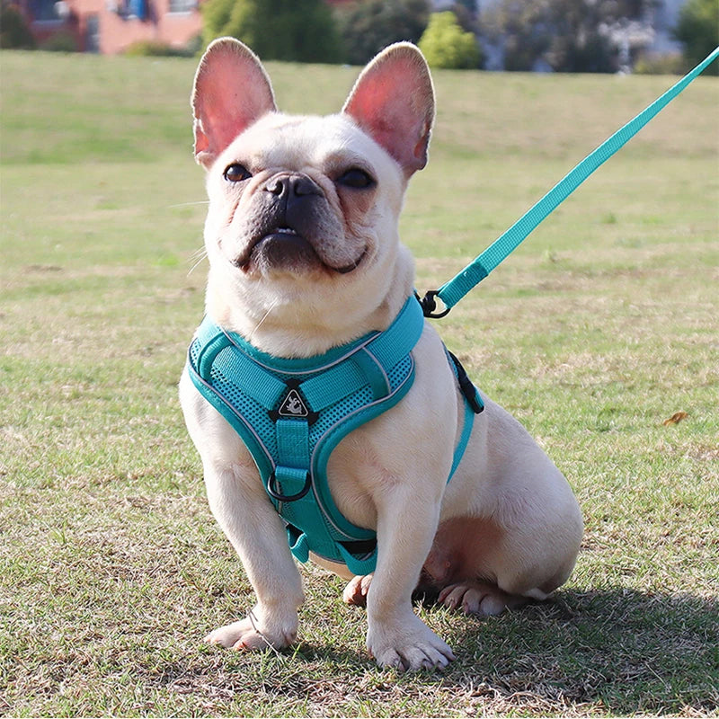 Conjunto de coleira para cães, cinta peitoral ajustável para cães pequenos e médios, colete refletivo para filhotes de cachorro, buldogue francês york