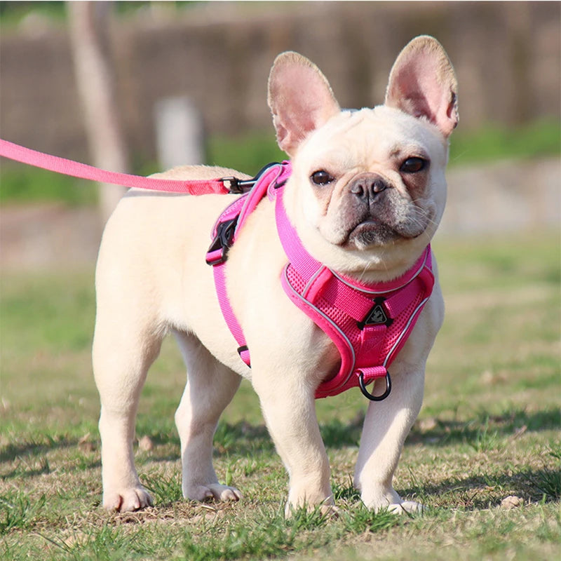 Conjunto de coleira para cães, cinta peitoral ajustável para cães pequenos e médios, colete refletivo para filhotes de cachorro, buldogue francês york