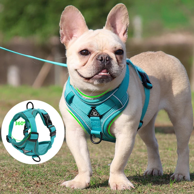 Conjunto de coleira para cães, cinta peitoral ajustável para cães pequenos e médios, colete refletivo para filhotes de cachorro, buldogue francês york